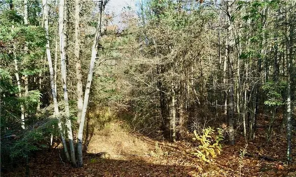 Tiny, ON L9M 0K2,PL 20 Concession 18 N/A W