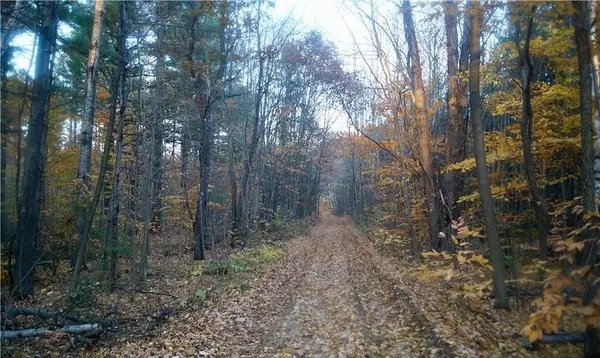 Tiny, ON L9M 0K2,PL 20 Concession 18 N/A W