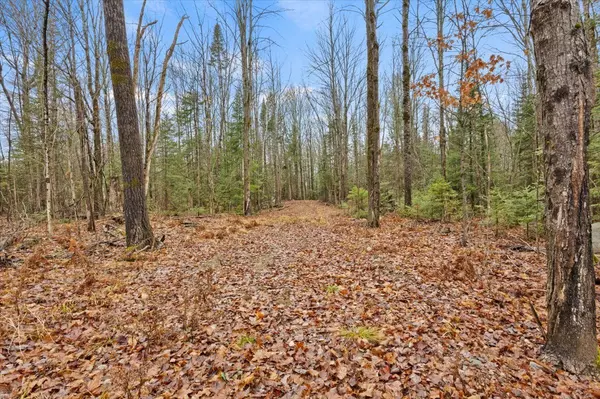 Minden Hills, ON K0M 2K0,0 Gelert RD