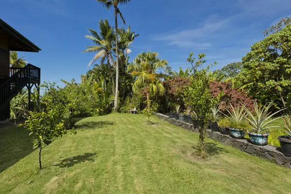 15-2817 PAPAI ST, Pahoa, HI 96778