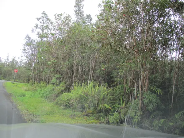 Mountain View, HI 96771,HIBISCUS ST