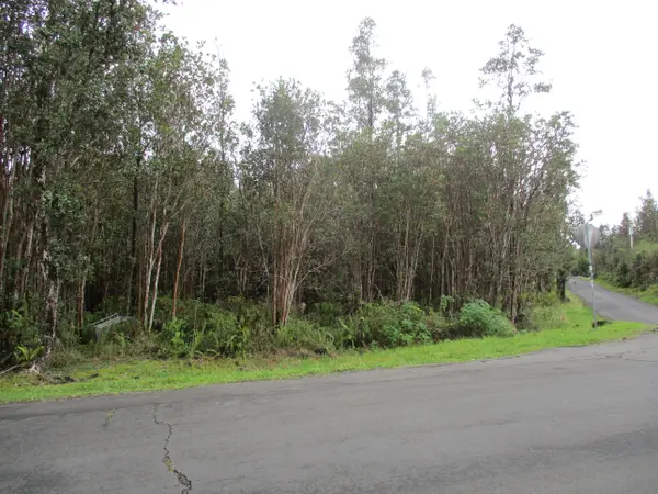 Mountain View, HI 96771,HIBISCUS ST