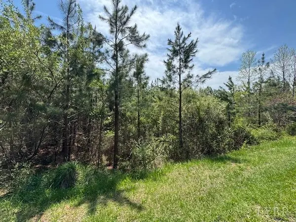 Concord, VA 24538,6 Spencer Rd