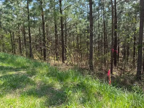 Concord, VA 24538,6 Spencer Rd