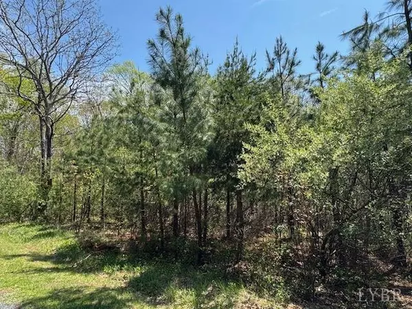 Concord, VA 24538,7 Spencer Rd