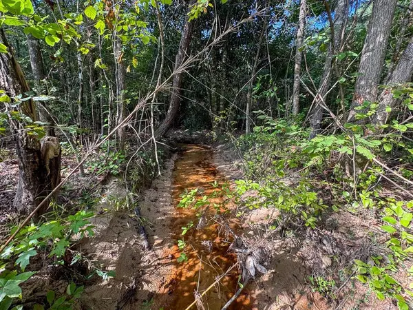 3 Big Hill Fire Tower Road, Robeline, LA 71469