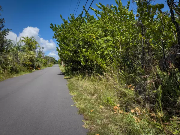 Keaau, HI 96749,4TH AVE