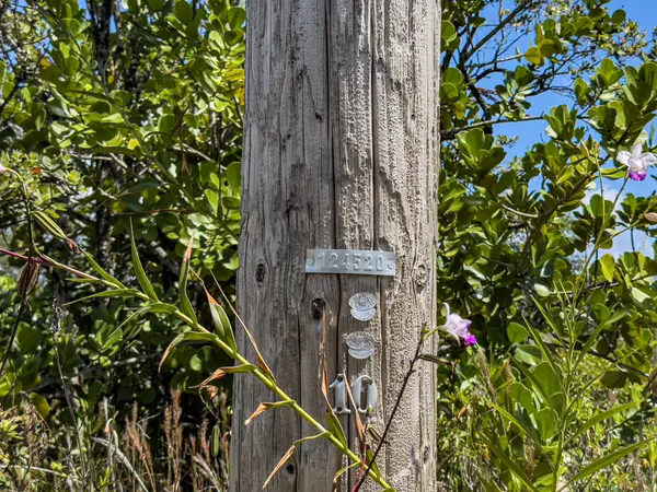 Keaau, HI 96749,4TH AVE