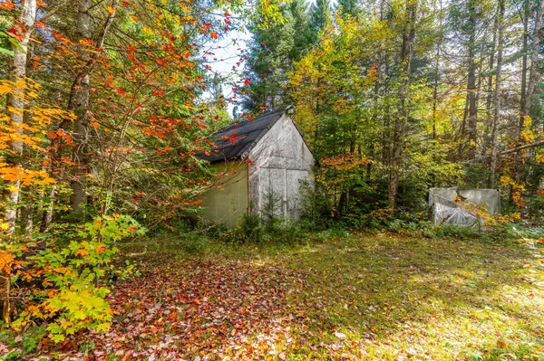 Highlands East, ON K0L 2Y0,1099 Penzance TRL