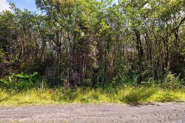 Mountain View, HI 96771,MALEIKAI ST