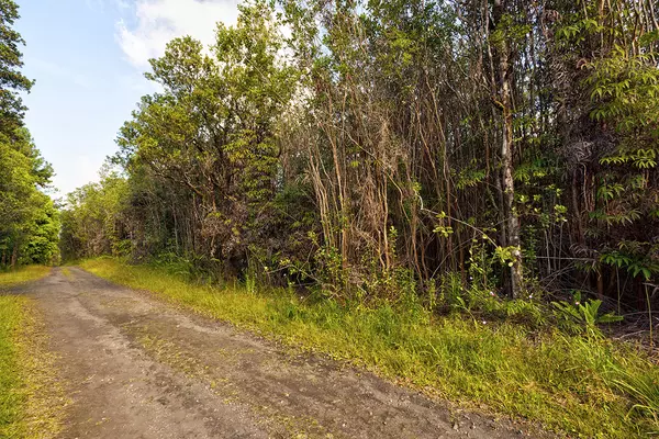 Mountain View, HI 96771,MALEIKAI ST