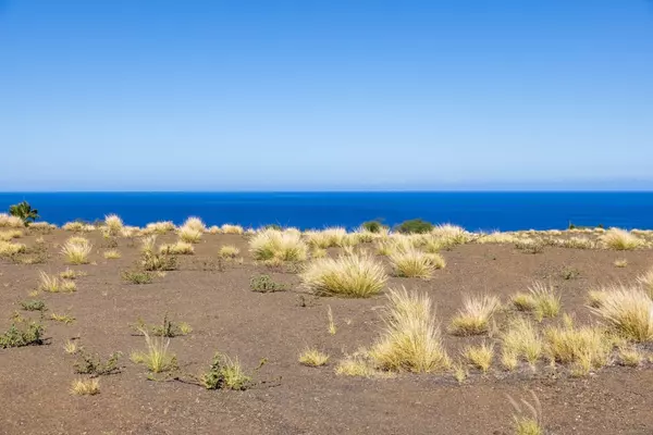 Kamuela, HI 96743,62-6043 AMAUI LANI PL