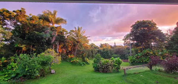 Honokaa, HI 96727,48-5443 KUKUIHAELE RD