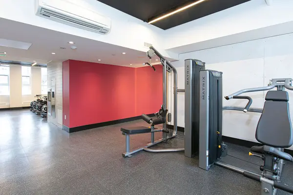 666 Spadina AVE #806, Toronto C01, ON M5S 2H8