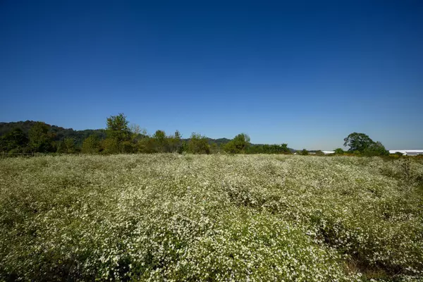 Gallipolis, OH 45631,2 Commerce Dr.