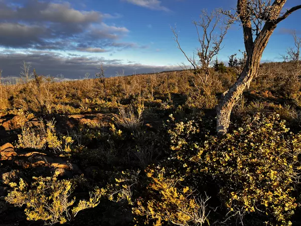 Ocean View, HI 96737,92-8664 PINEAPPLE PKWY