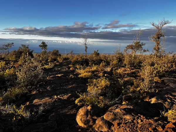 Ocean View, HI 96737,92-8664 PINEAPPLE PKWY