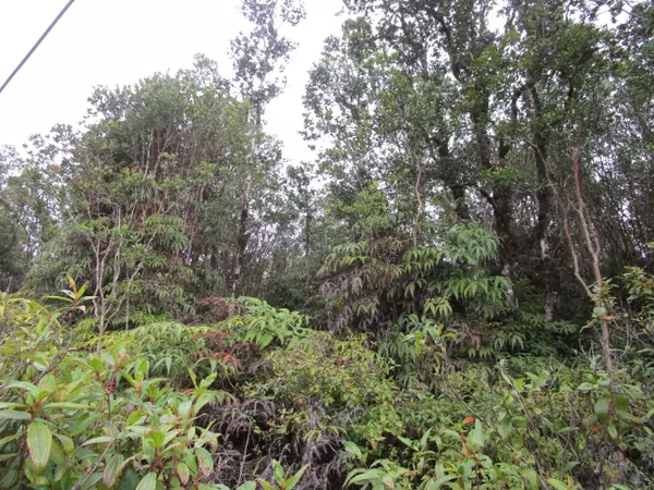 Mountain View, HI 96760,ROAD 1 (UHINI ANA)