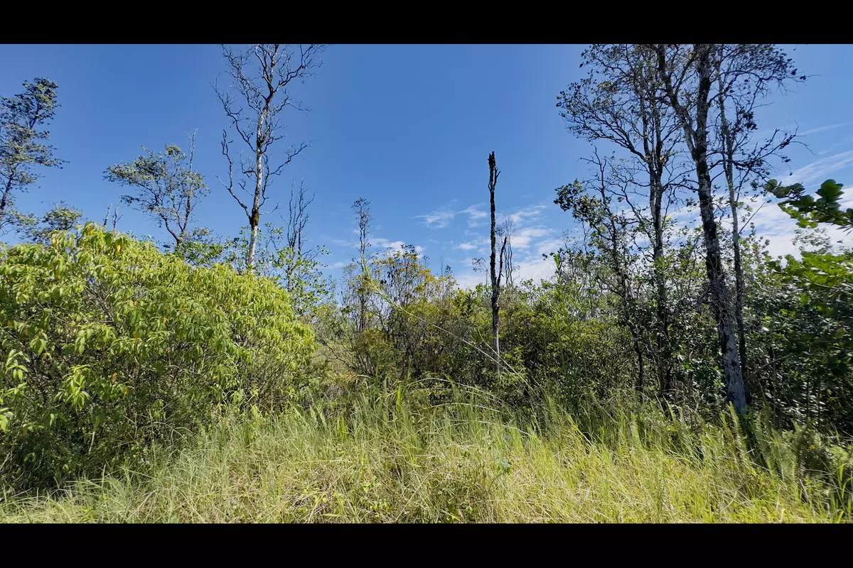 Keaau, HI 96749,16TH AVE