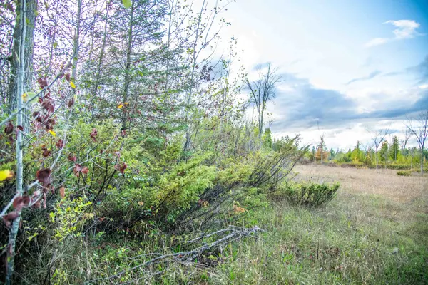 Kawartha Lakes, ON K0M 2B0,Lot 256 McGuire Beach RD