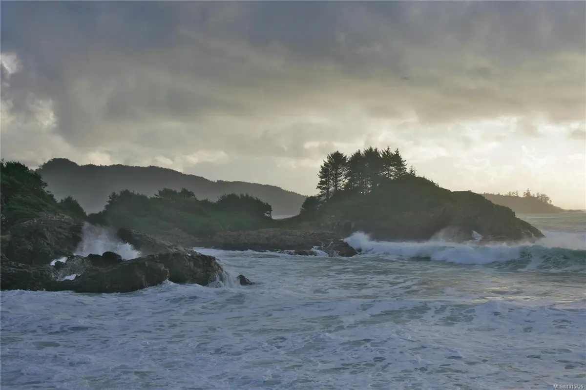 Tofino, BC V0R 2Z0,871 Moser Pl