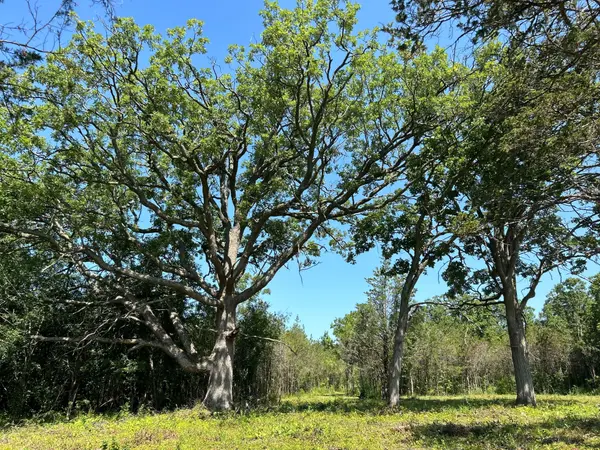 Greater Napanee, ON K7R 3K8,0 COUNTY RD 9 N/A