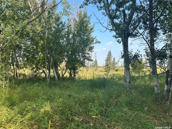 Rural Address, Barrier Valley Rm No. 397, SK S0E 0B0