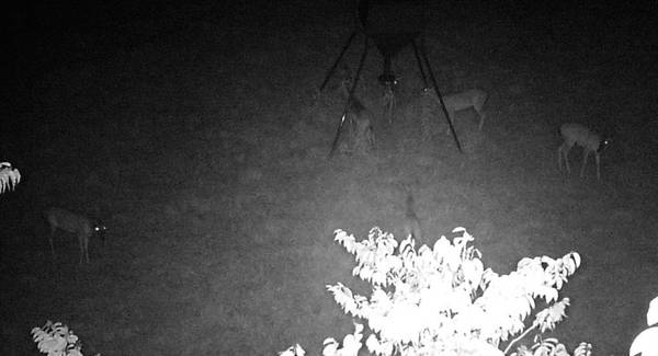 Tyler, TX 75703,2280 County Road 129