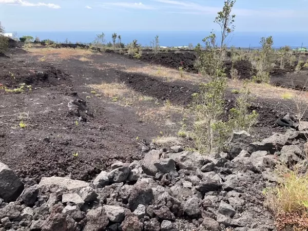 Ocean View, HI 96737,92-1682 ALOHA BLVD