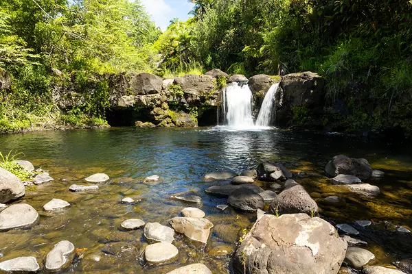 Pepeekeo, HI 96783,27-621 ONOHI LOOP