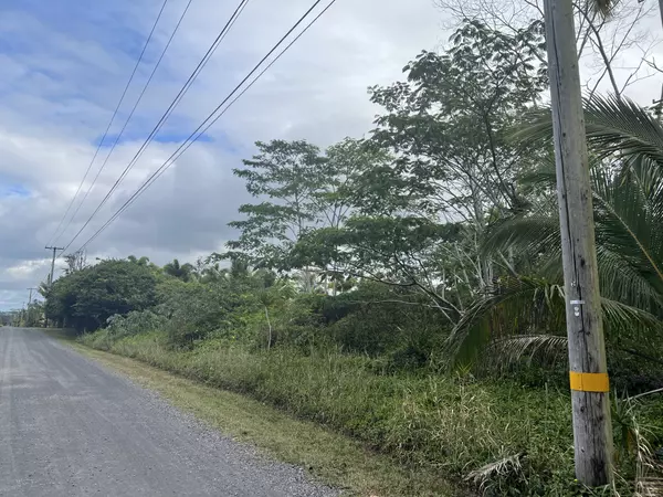 Keaau, HI 96749,15-1590 17TH AVE