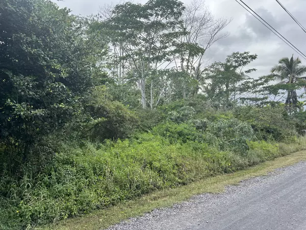 Keaau, HI 96749,15-1590 17TH AVE