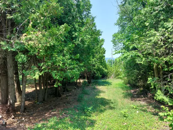 Northern Bruce Peninsula, ON N0H 1W0,CON 5 EBR PT LOT 30 E N/A