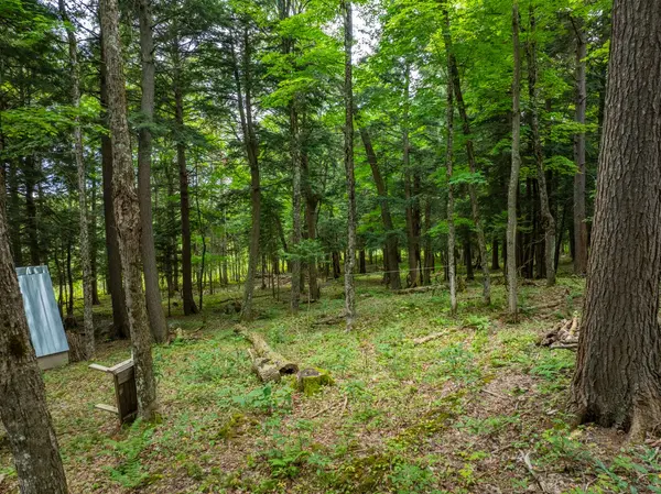 131 MOONWING RD, Magnetawan, ON P0A 1A0