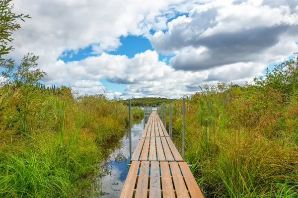 Chisholm, ON P0H 1B0,398 Mallard Haven RD