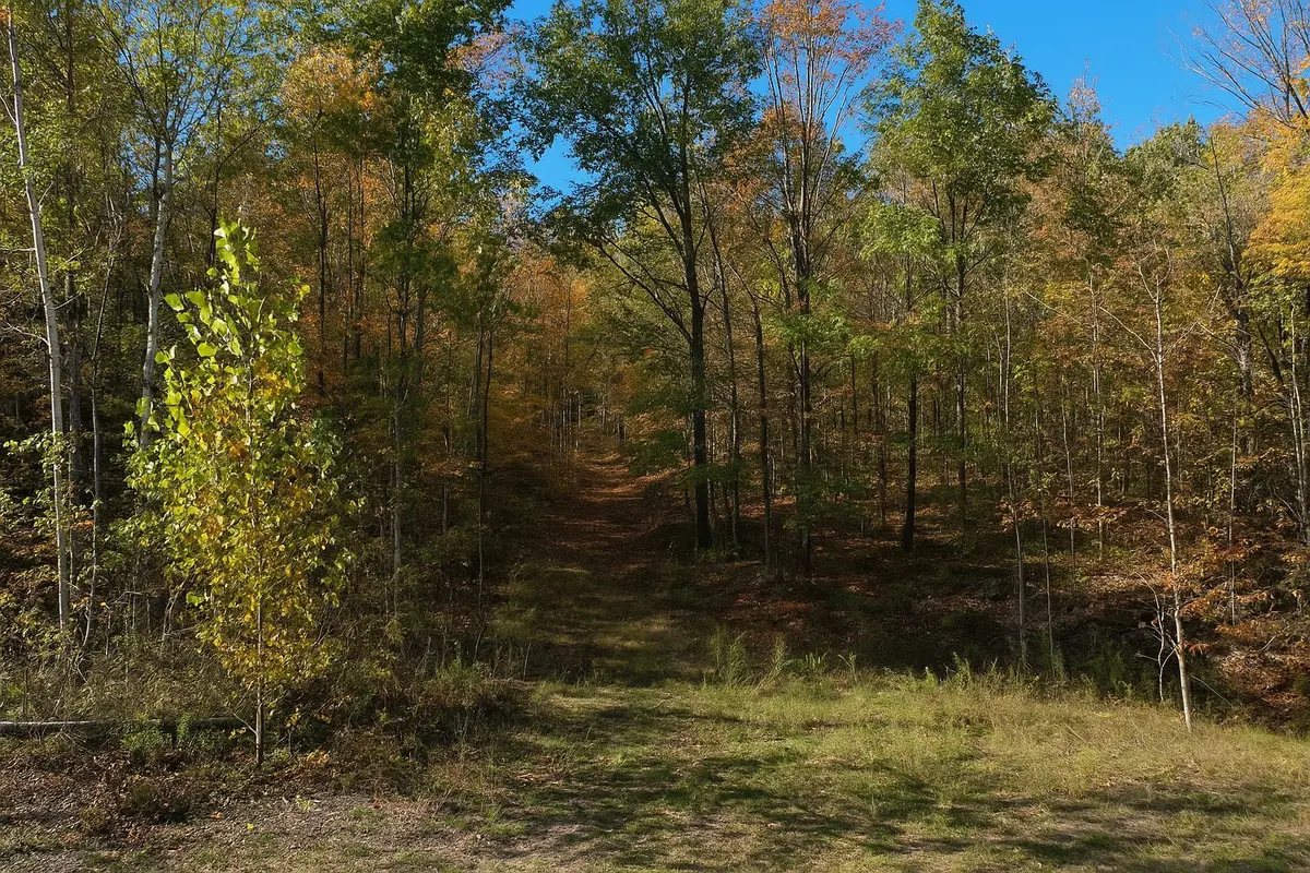 Tay Valley, ON K0H 2B0,00 Maple LN