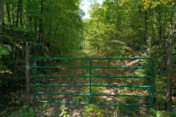 Tay Valley, ON K0H 2B0,00 Maple LN