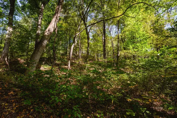 Cheshire, OH 45620,000 Little Kyger