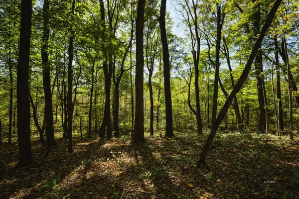 Cheshire, OH 45620,000 Little Kyger