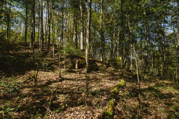 Cheshire, OH 45620,000 Little Kyger