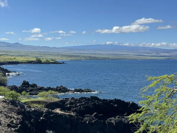 59-111 PAKUIKUI PL, Kamuela, HI 96743