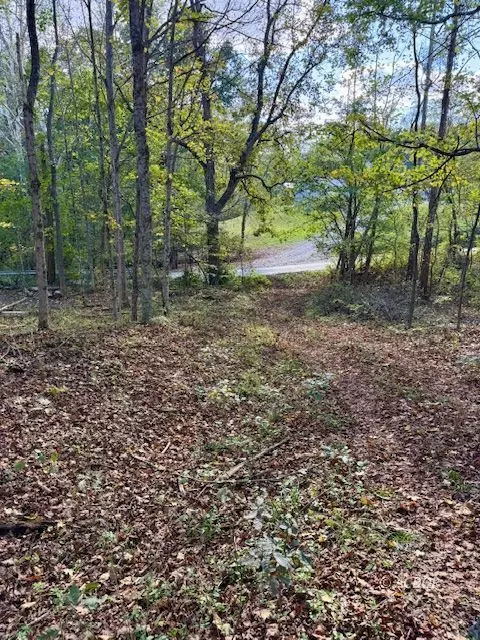 Glouster, OH 45701,RedRock Rd