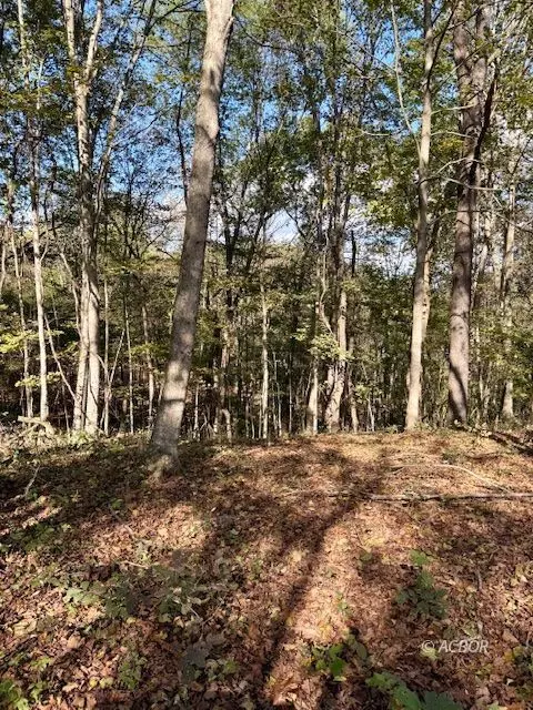 Glouster, OH 45701,RedRock Rd