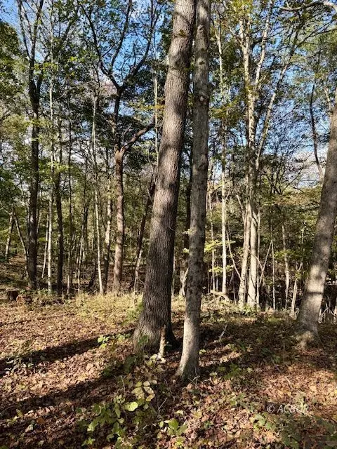 Glouster, OH 45701,RedRock Rd