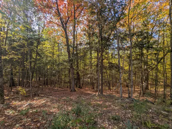 Muskoka Lakes, ON P1L 1W8,1779 Muskoka Rd 118 RD W