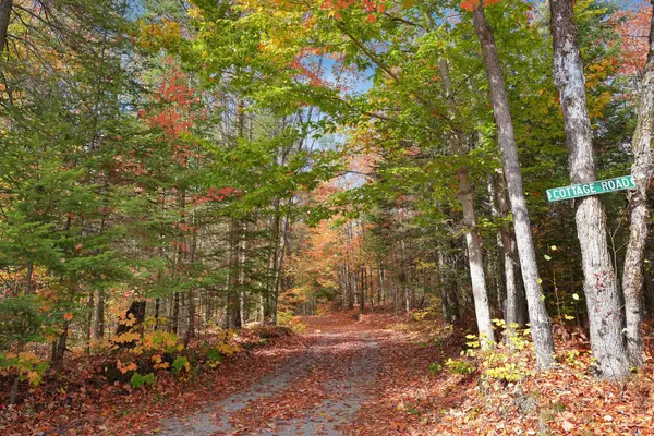 Minden Hills, ON K0M 2A1,1966 Bacon RD