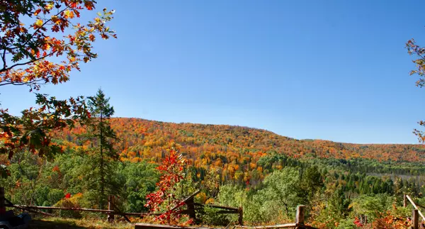 Hastings Highlands, ON K0L 2R0,0 Mudcat RD