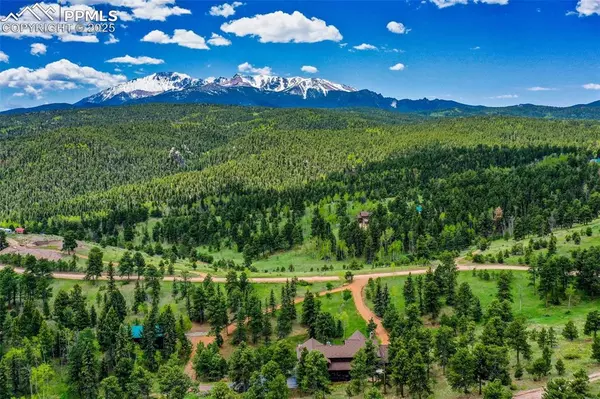 Woodland Park, CO 80863,221 Columbine PL