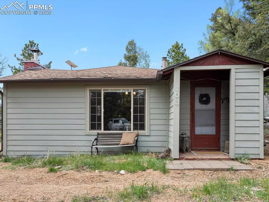 Woodland Park, CO 80863,103 Alpine RD