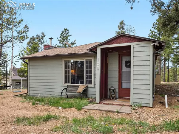 Woodland Park, CO 80863,103 Alpine RD